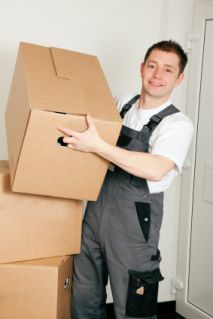 Tips on How to Do an Environment Friendly Move